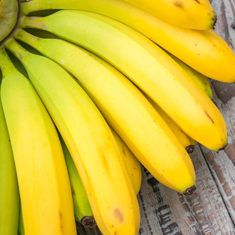 bananos-ikoi-colombia-1