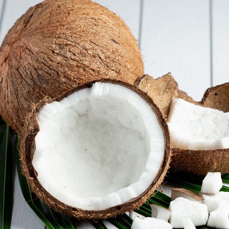 cocos-ikoi-colombia-1