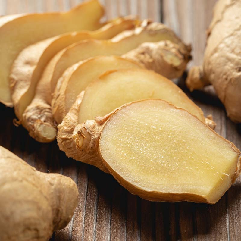 jengibre-arbol-ikoi-colombia-1