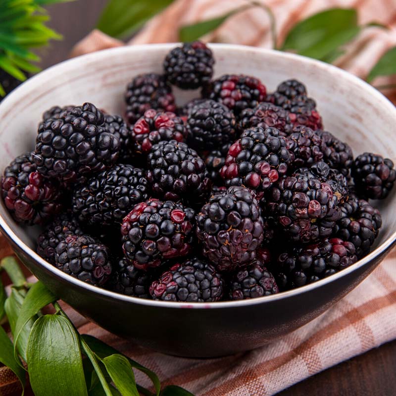 moras-ikoi-colombia-1