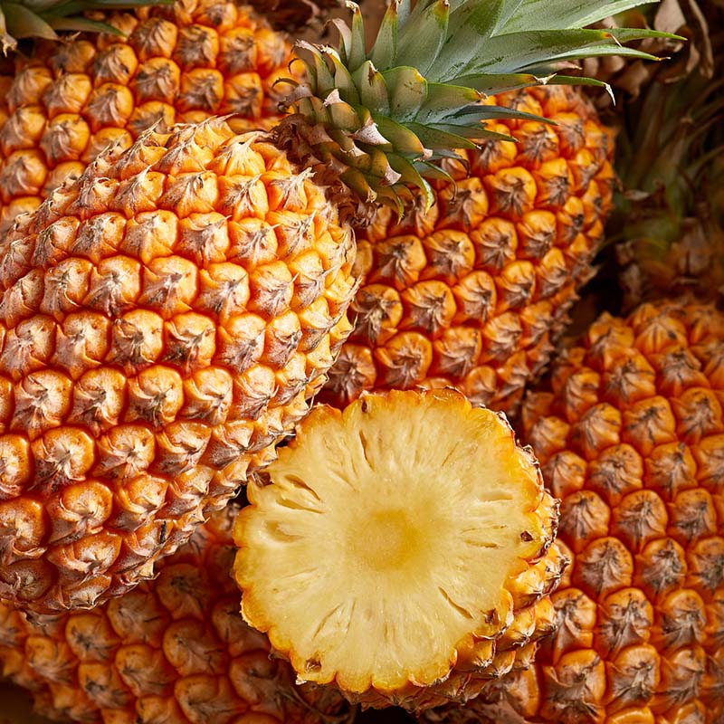 pinas-ikoi-colombia-1